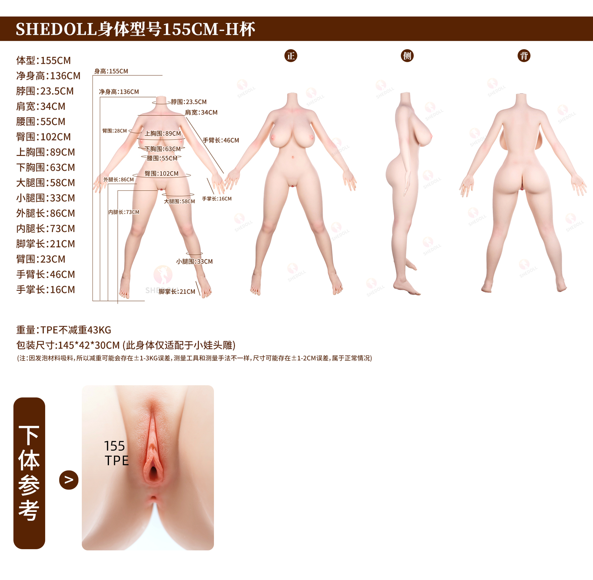 155 Body Type Information and Lower Body Image.jpg